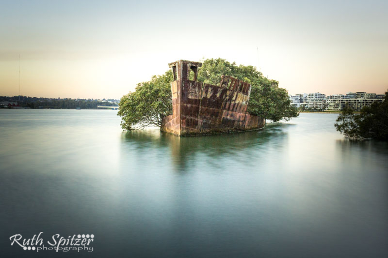 Homebush-Bay-Shipwrecks