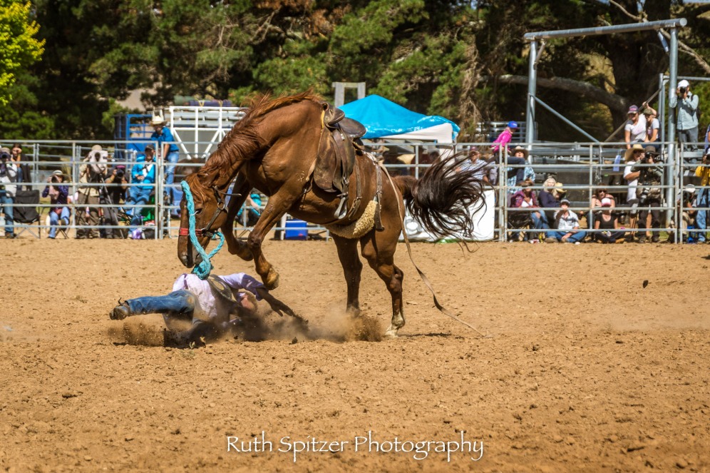 2016-Taralga-Rodeo-NSW-Australia